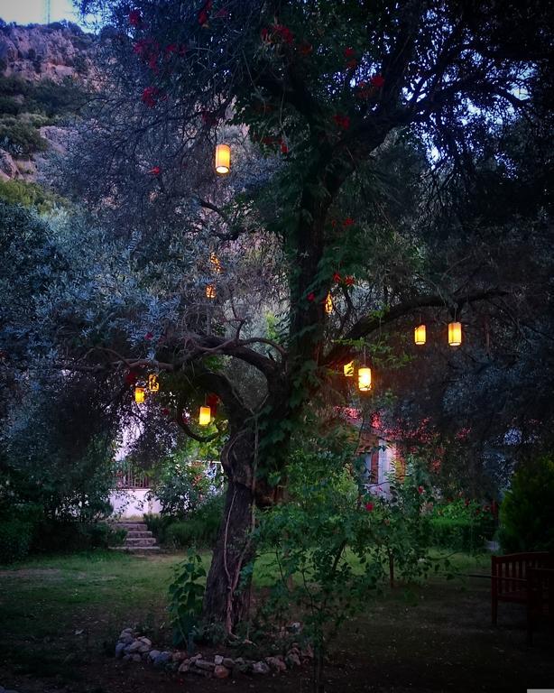 Datca Masal Gibi 외부 사진