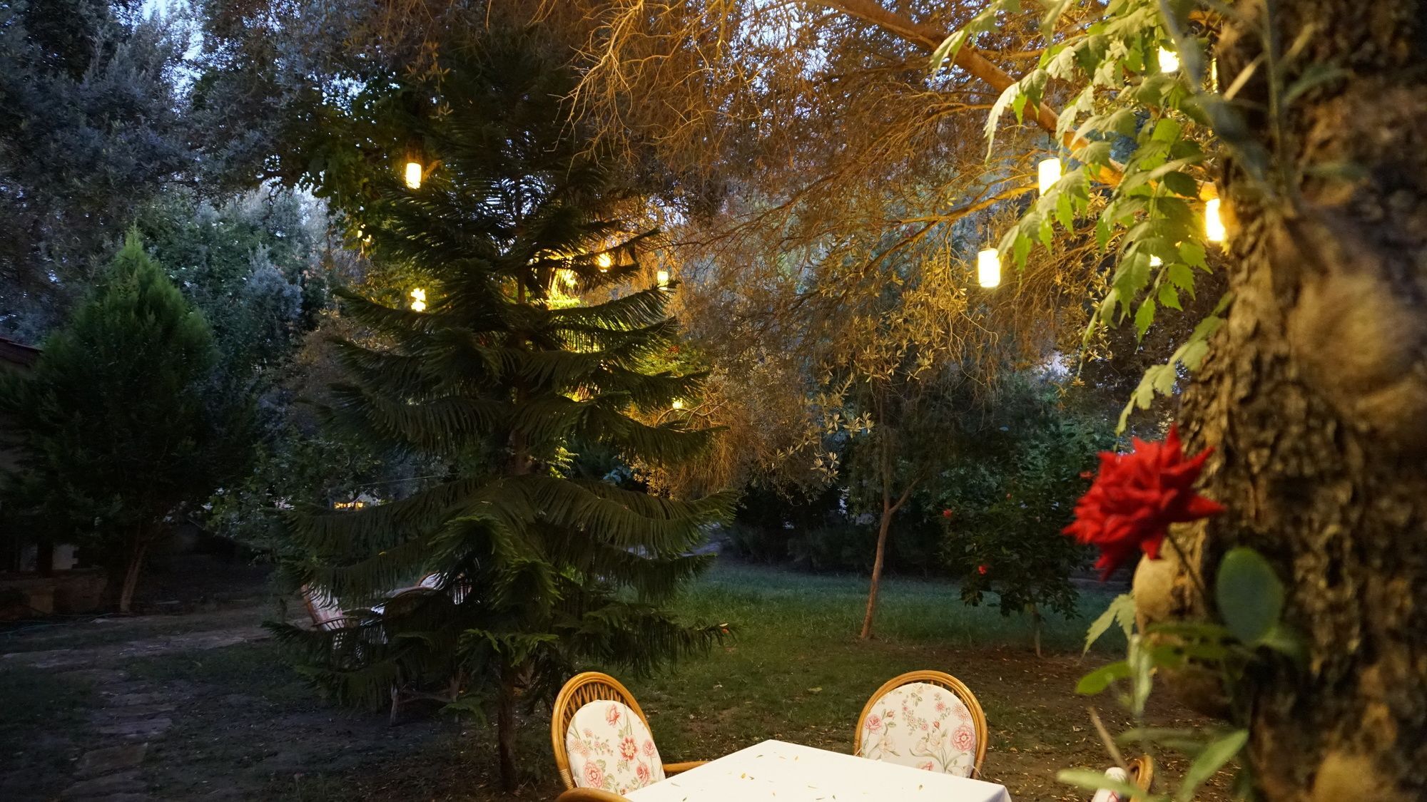 Datca Masal Gibi 외부 사진